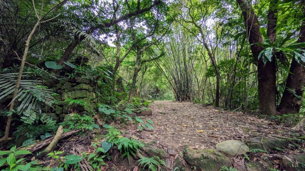 石笋古道,遇見雞母嶺2340710