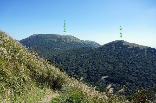 台北市面天山、向天山以及菜公坑山596765