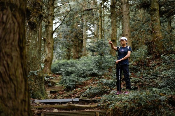 帶媽媽爬長壽山2669498