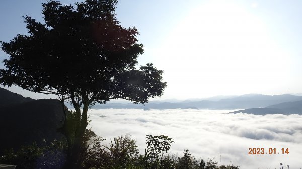 翡翠水庫壩頂/新店四十份公墓雲海+斜射光，個人在此最有層次最美的一次雲海1993139