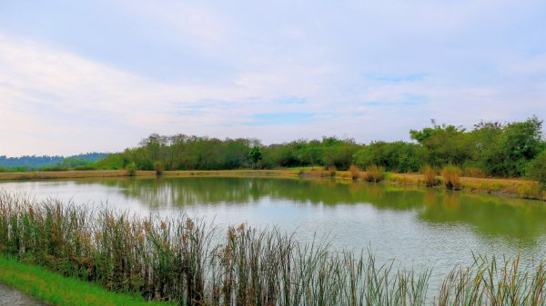 田寮月世界2954567