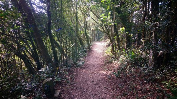 出關古道關刀山步道1584806