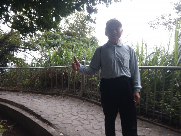 貴子坑下菁嚳步道1453741