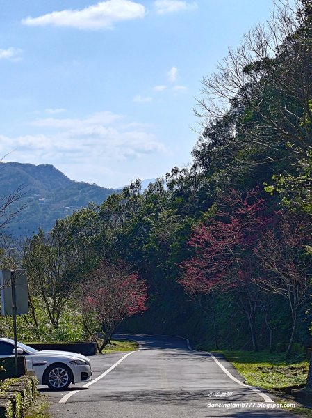 【新北】二格山步道：半小時登頂坐擁大台北2805199