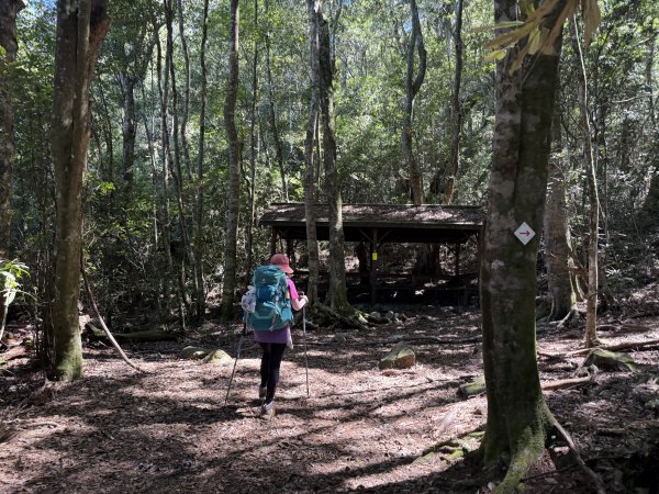 馬崙山 202509062889335