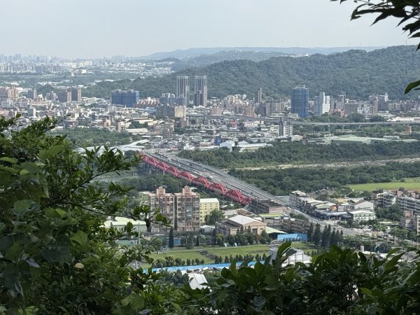 2025/06/26 鳶山 鳶山彩壁 鳶尾山3038632