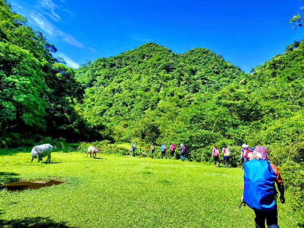 最美百年山徑：淡蘭中路中坑古道971261