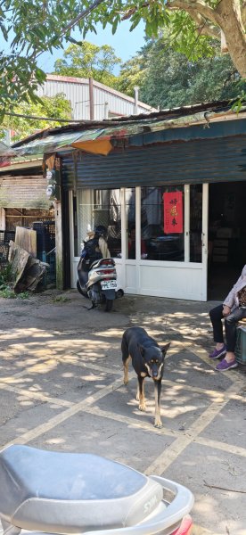 2026-0315 桃園虎頭山3015945