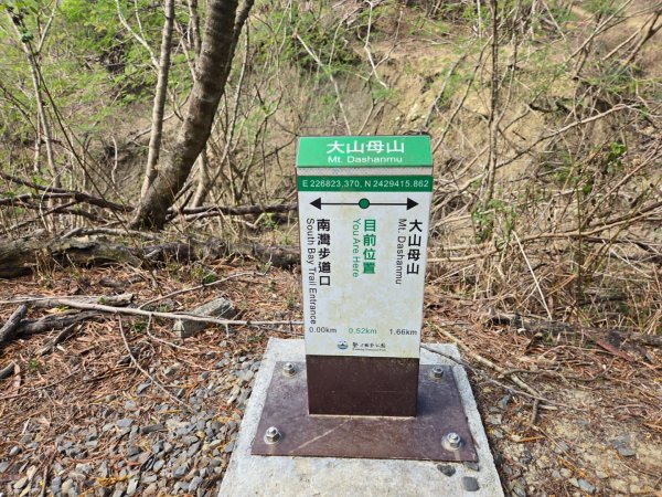 大山母山（小百岳）3007458