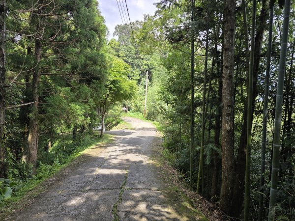 [皮皮獅探險隊-10/10] 2025_0816 白蘭溪古道2862928