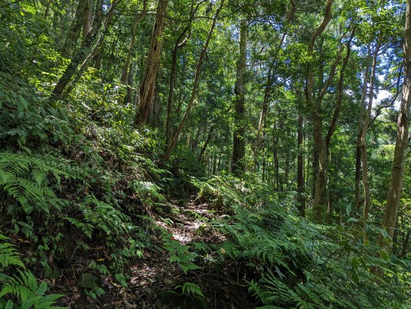 逐鹿山水路上卡保山(未經逐鹿山)2171973