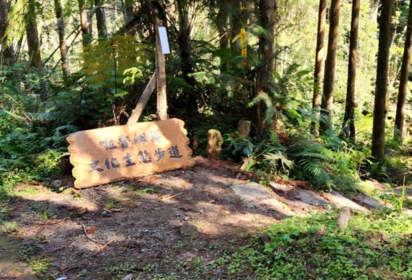 【中級山縱走 】向天湖山，三角湖山，光天高山2742268