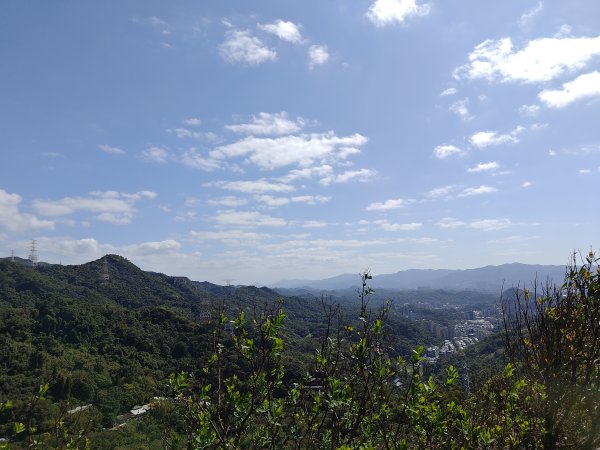 20260315金面山3015561