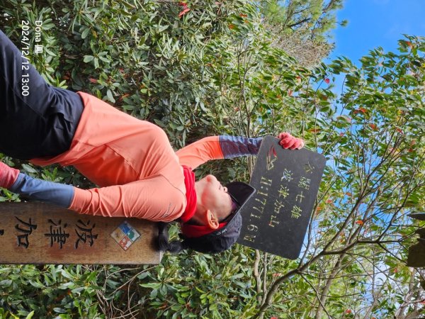 【谷關七雄】波津加(H1771.6m)肉腳配速成功2670490