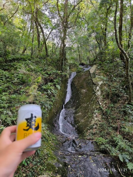 內鳥嘴山（山毛櫸、北得拉曼神木2648201