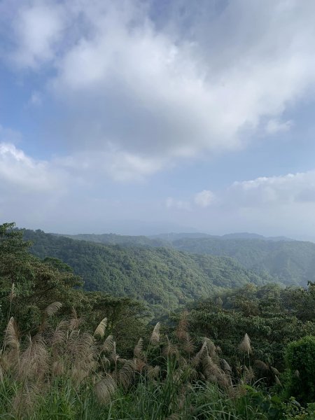 20221112石壁潭山_中坑山_飛鳳山O型1906799