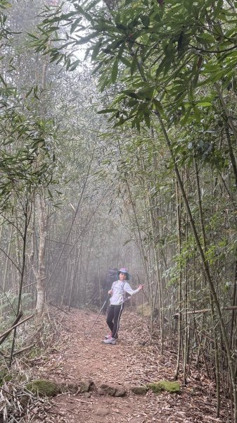 20260101小百岳馬那邦山賞楓團2973942