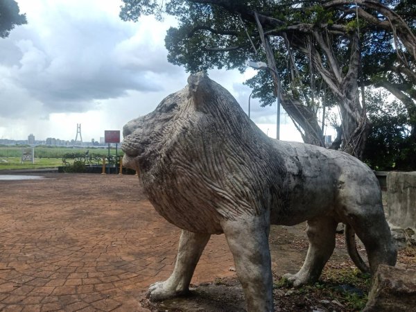 龍山河濱公園、大安森林公園、大港墘公園、花博公園圓山園區【走路趣尋寶】【臺北健走趣】2591700