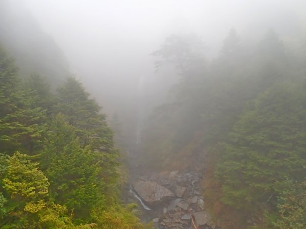 風雨中三上奇萊南峰、南華山901018