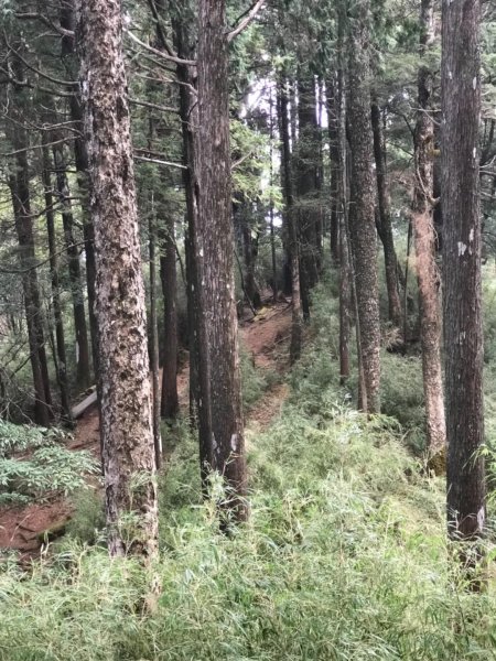 大雪山林道船型山鞍馬山537499