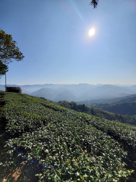 勇闖雲嘉五連峰821319