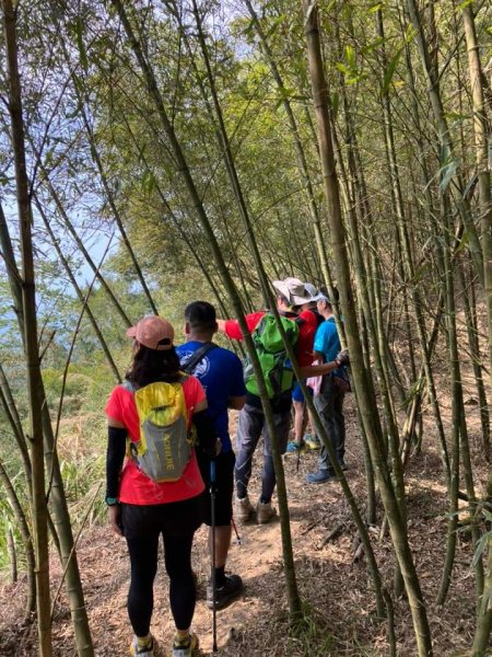 20240317十分速C團爬山趣2457023