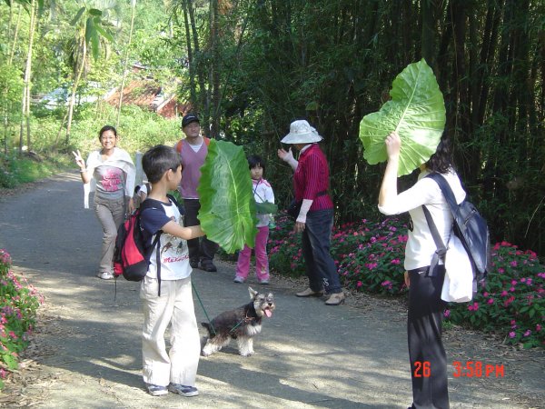 2008 Apr. 麗山橋口步道584624