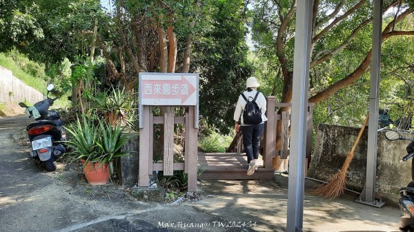 《彰化》卦山少林｜花壇西來園（銀行山）登山步道202412012657884