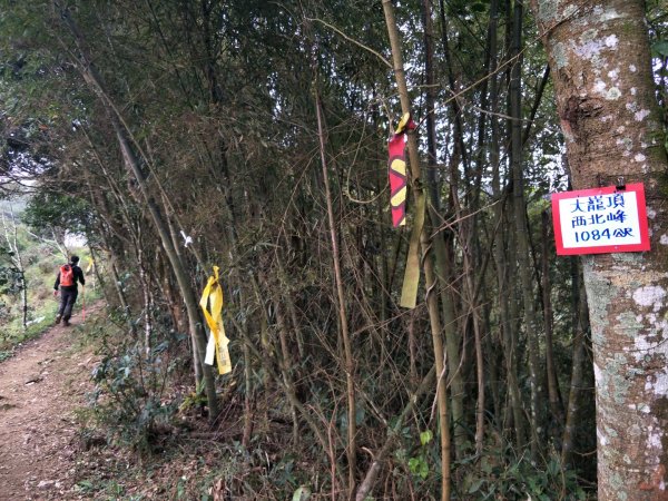 雲嘉七連峰1560710