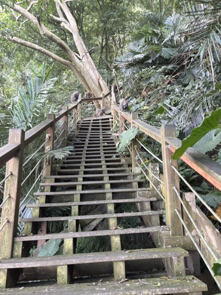 20251025南化龍湖寺至紫竹寺O繞(石松子山.大竹崙山.竹子尖山)2925088