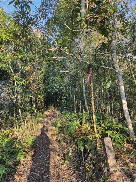 2024.02.01 凌空廊道登煤源山2843936