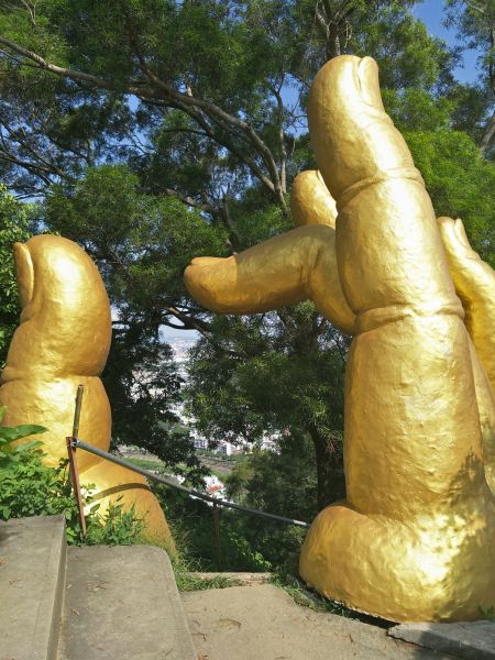 南觀音山步道374795