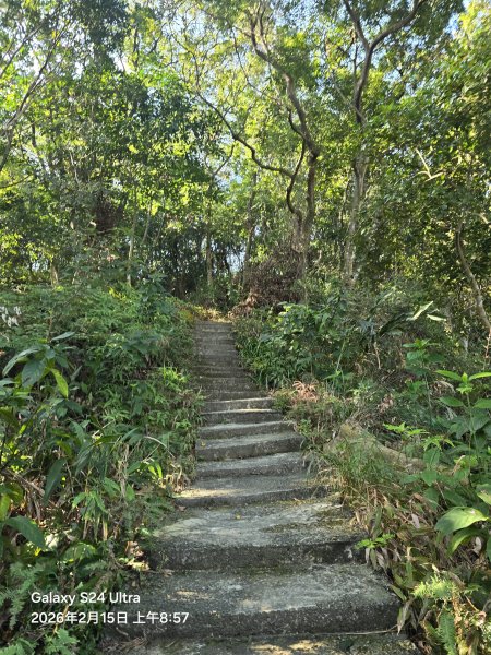 2026-02-15微笑山線：【天上山系】烘爐地土地公段3003979