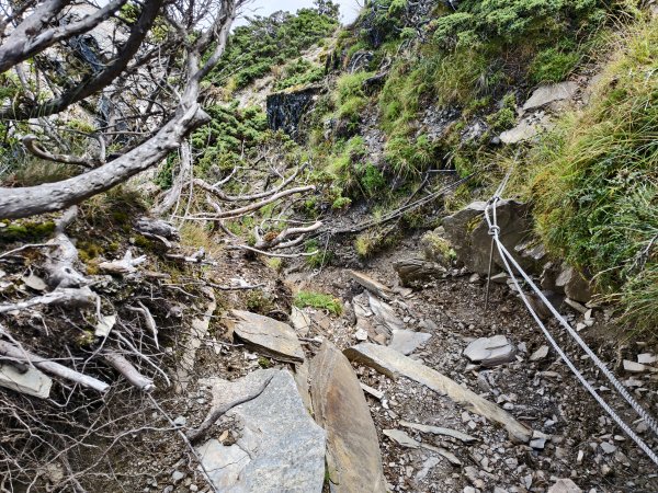 北一段(11/14)南湖北峰 2025_0906~132887367