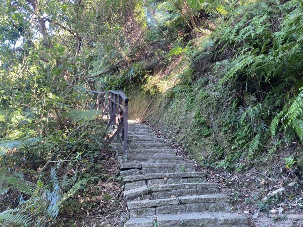 【四獸山攻略】虎豹獅象 O 型環走！完整四獸山輕鬆路線全收錄2906427