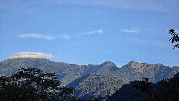 20240629-0630 嘉明湖步道+三叉山+向陽山2619561