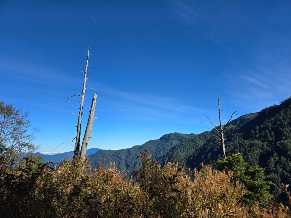 中／大雪山～230林道2648428