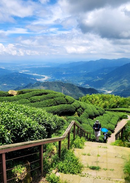 【中級山縱走】雲嘉八連峰（後棟仔山，大尖山，二尖山，馬鞍山，梨子腳山，太平山，大巃頂山及其西北峰）2821124