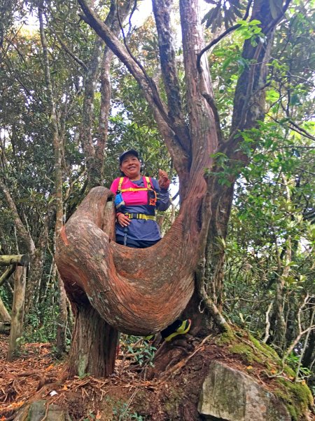 橫嶺山連走鳶嘴山2019/4/30575794