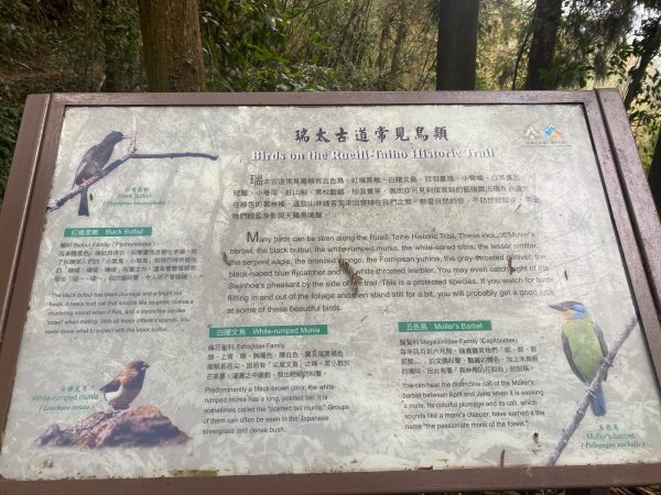 1120329奮瑞古道2643542