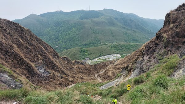 20250501_陽明山東西大縱走-round#32784155