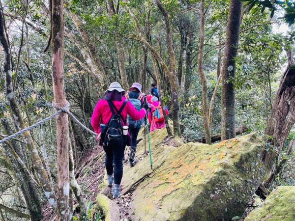 1140319仙山-仙山南峰2738259