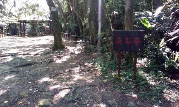 百吉林蔭步道&新溪洲山縱走201309131958390