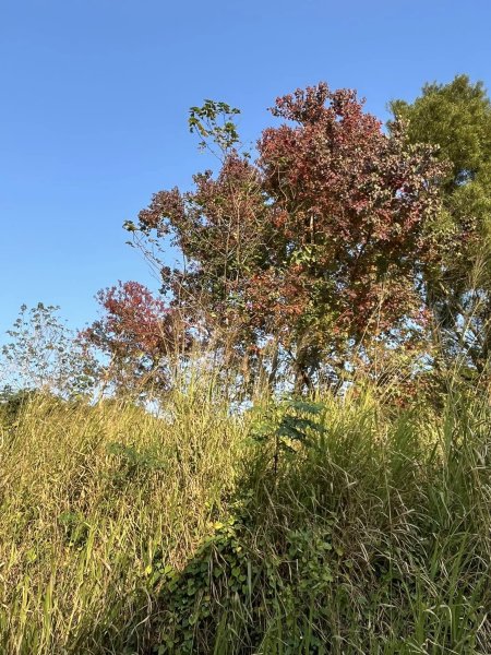 知高圳步道2711608