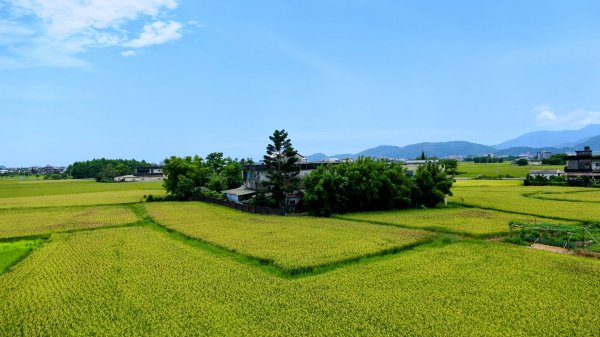 三奇美徑,52甲溼地2813335