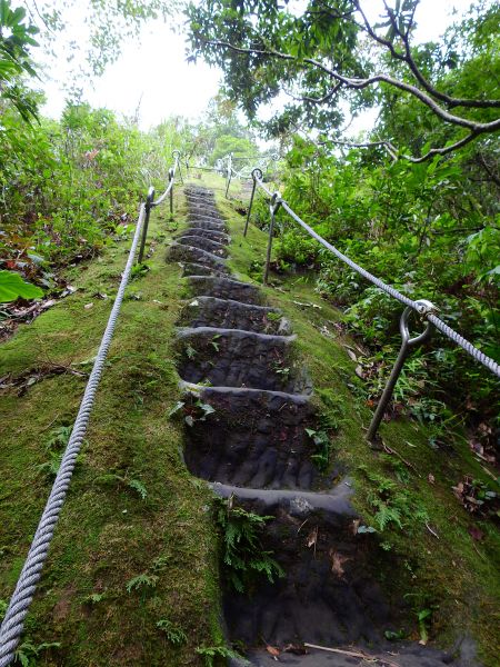 孝子山步道連走東勢格越嶺古道196945