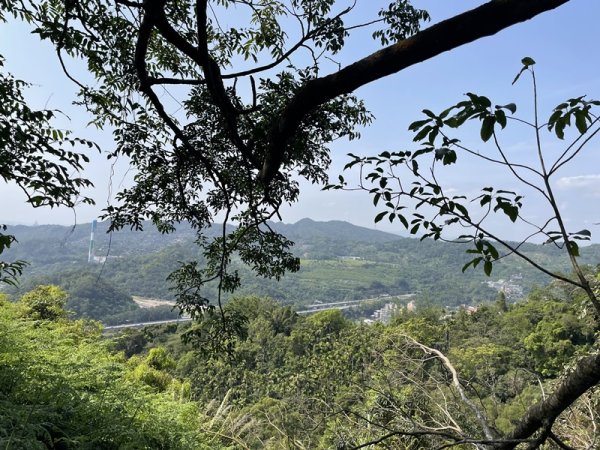 魚猴13連峰2757358