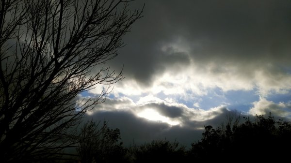 陽明山東西大縱走，下次再把西段走完1963561