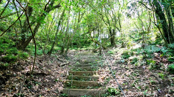 磐石嶺,鳥嘴尖,姜子寮山,姜子寮絕壁2863523