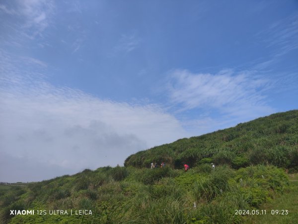 陽明山東西大縱走2610097